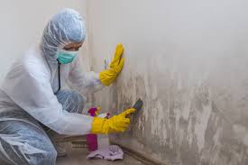 Best Comprehensive Air Testing for Mold Contaminants  in Colonia, NJ